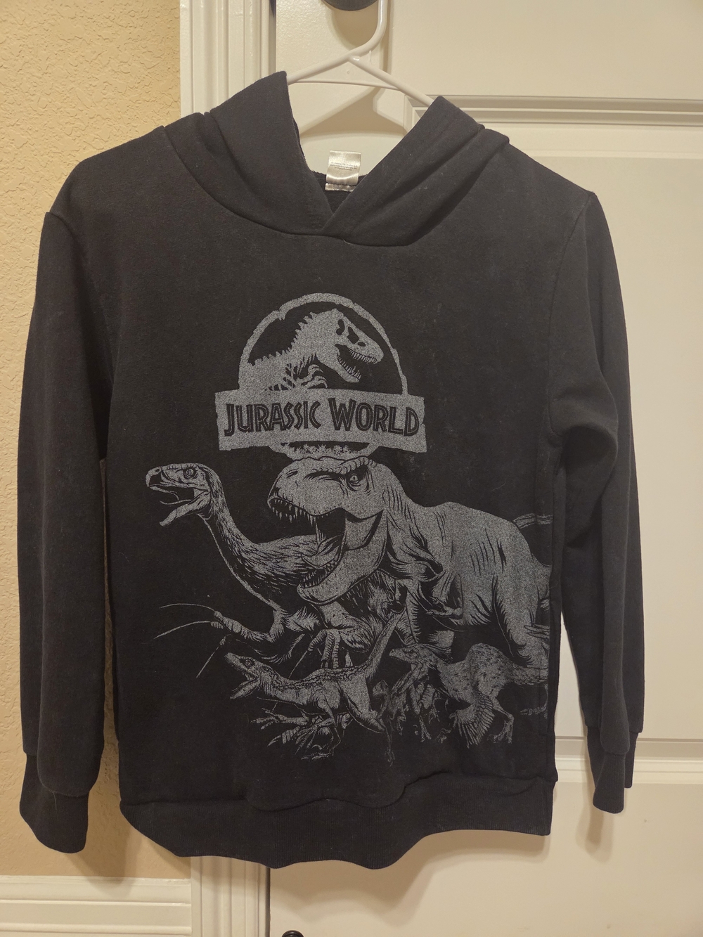 Jurassic World Jurassic Park Blue and T-Rex Tie Dye Grey/Black Hooded Sweatshirt